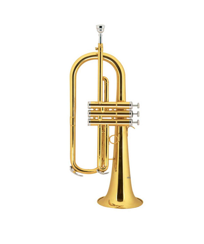 Fliscorno Consolat FC-1100