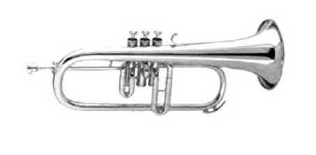Fliscorno Gara GFH-455
