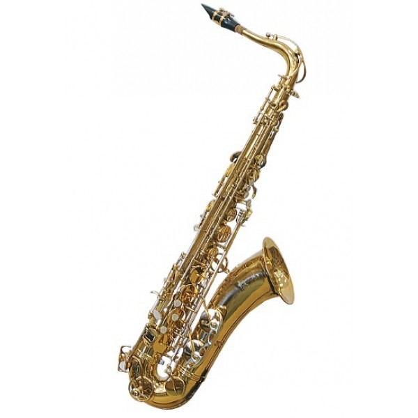 Saxofón Tenor J. Michael TN900