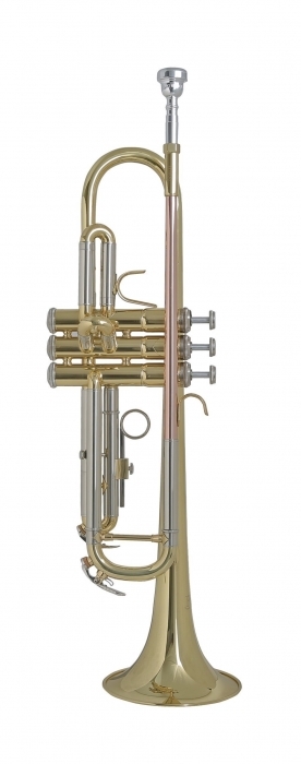 Trompeta en Sib Bach TR655