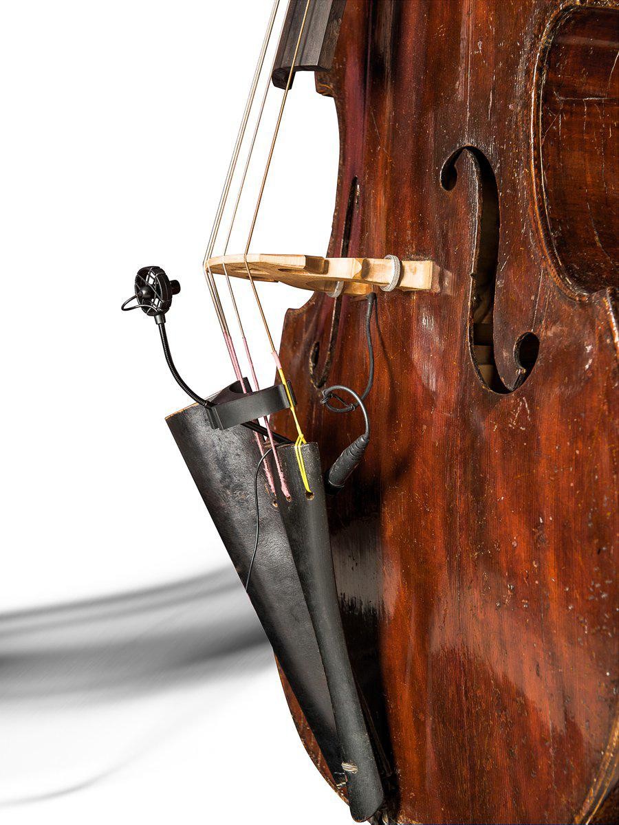 Micrófono PRODIPE para Contrabajo